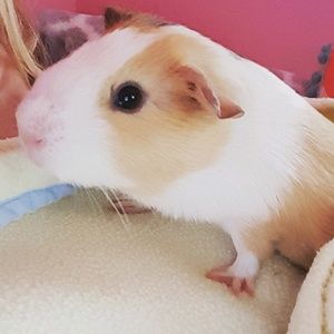 Meet your Posher, Jesika